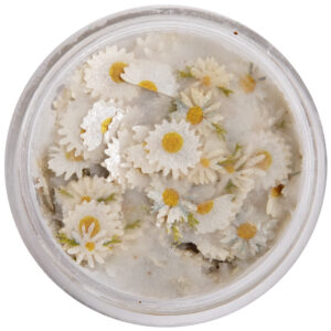 PXP Pressed Chunky Flowers – Daisies Mix Cream (10 ml)